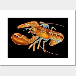 Maine Lobster Posters and Art